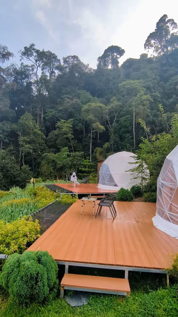 Amoss Farmstay, the stay that elevated our Cameron Highlands trip