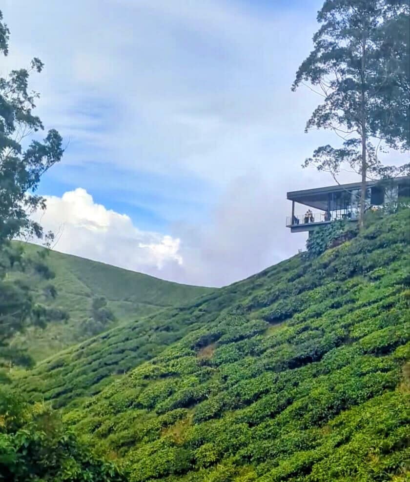 Sungai Palas Boh Tea Centre